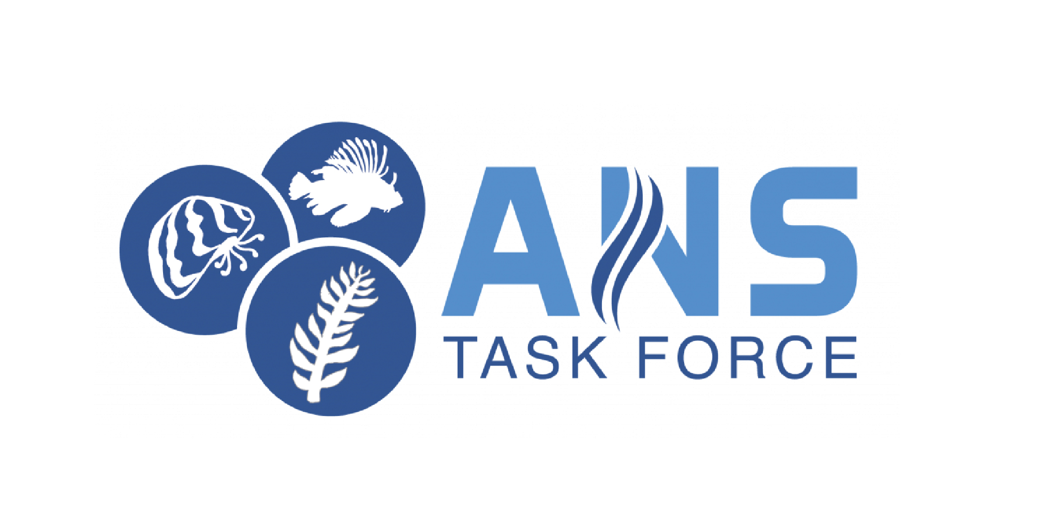 ANSTF Logo